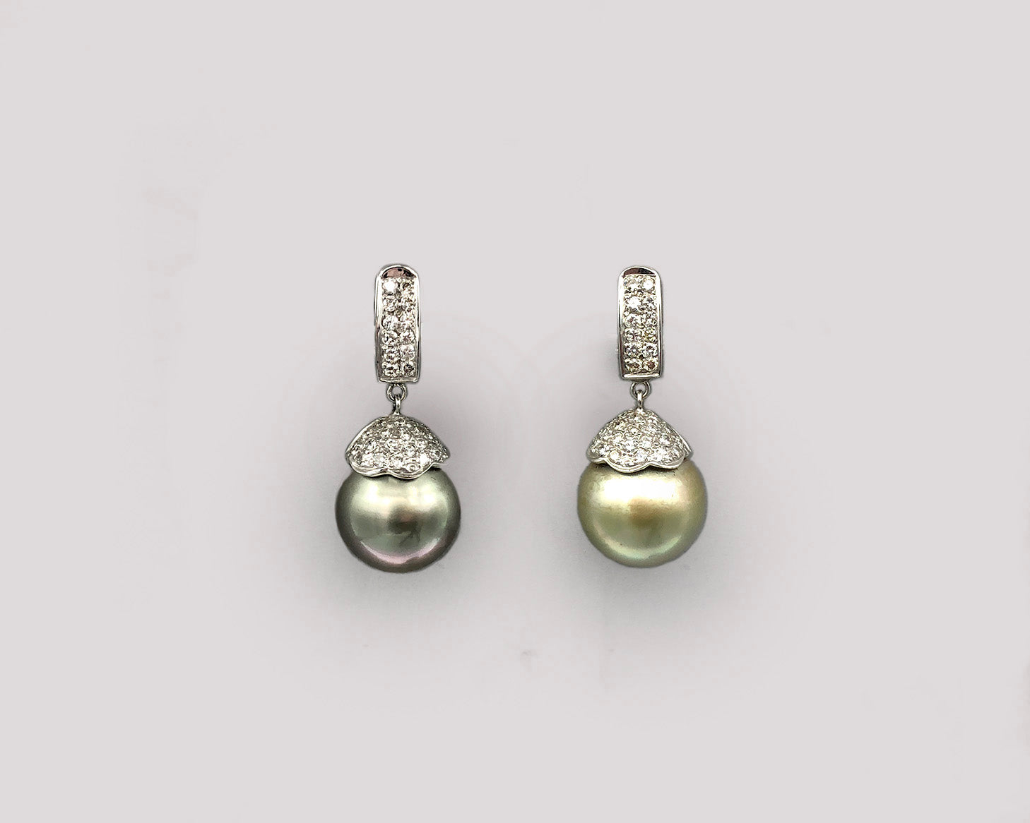 Golden/Green South Sea Pearl Earrings
